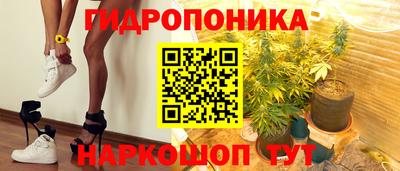 индика Краснознаменск