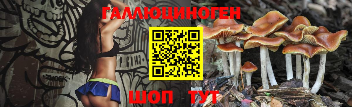 Ирбит  Псилоцибиновые грибы Psilocybe  Псилоцибиновые грибы Psilocybe  Вход с VPN 